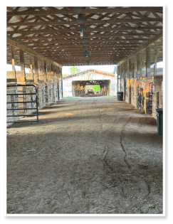 horse stalls