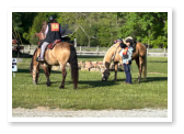 people meeting before a ride
